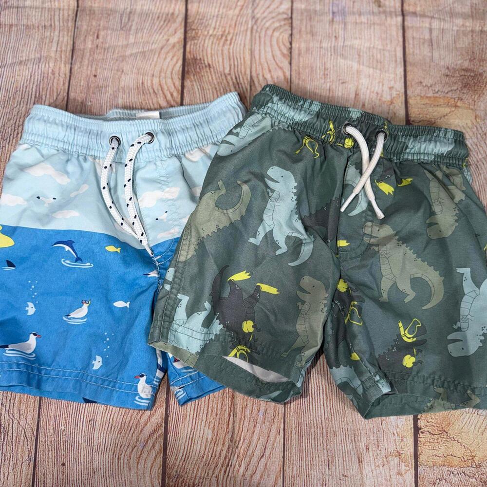 2T Boys Swimsuit Bundle